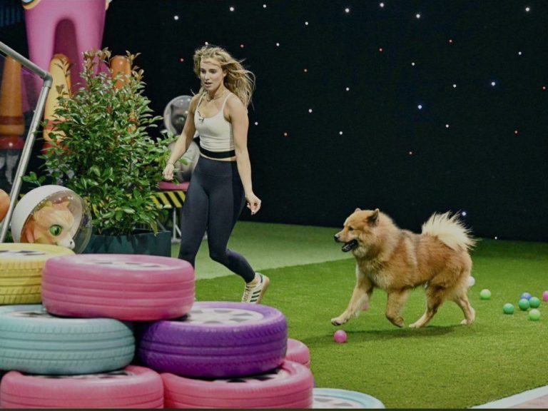 Frau mit Hund auf einem farbenfrohen Spielfeld mit Reifen und Spielzeugen.