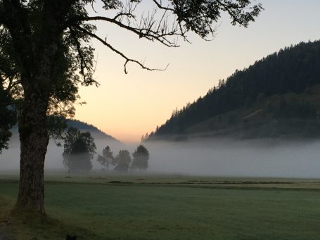 Morgendämmerung mit Nebel über einer Wiese, umgeben von sanften Hügeln und Bäumen.
